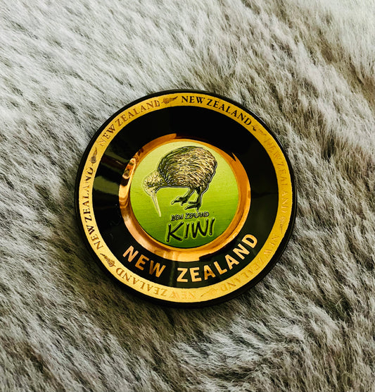 New Zealand Kiwi Magnet